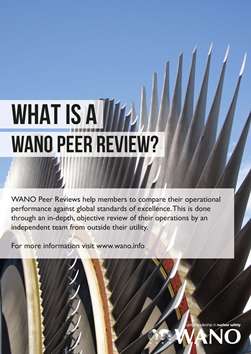 Peer Review Poster